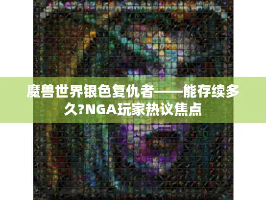 魔兽世界银色复仇者——能存续多久?NGA玩家热议焦点 魔兽世界银色复仇者——能存续多久?NGA玩家热议焦点