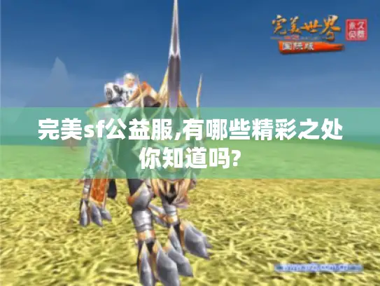 完美sf公益服,有哪些精彩之处你知道吗?