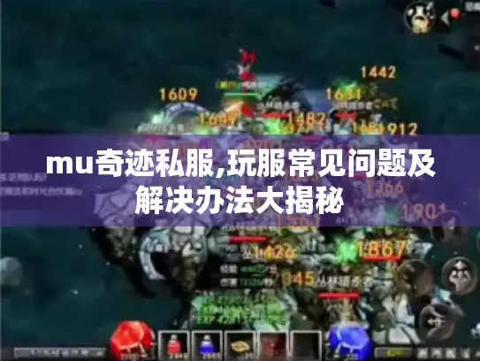 mu奇迹私服,玩服常见问题及解决办法大揭秘