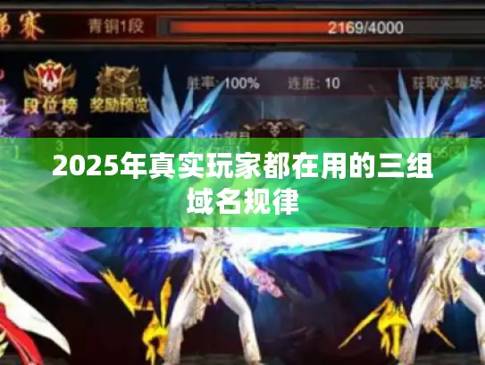 2025年真实玩家都在用的三组域名规律