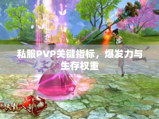 私服PVP关键指标，爆发力与生存权重