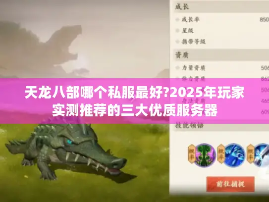天龙八部哪个私服最好?2025年玩家实测推荐的三大优质服务器