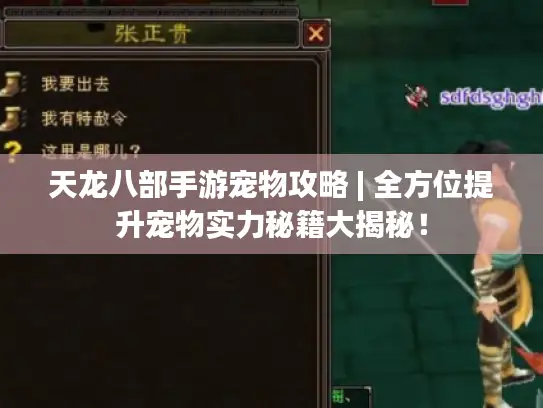 天龙八部手游宠物攻略 | 全方位提升宠物实力秘籍大揭秘！