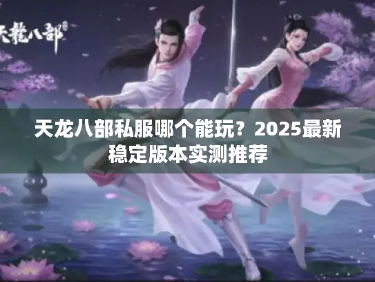 天龙八部私服哪个能玩？2025最新稳定版本实测推荐