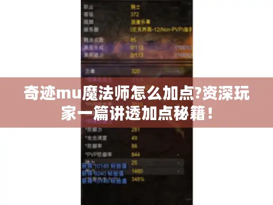 奇迹mu魔法师怎么加点?资深玩家一篇讲透加点秘籍！