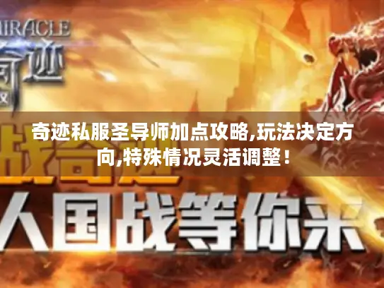 奇迹私服圣导师加点攻略,玩法决定方向,特殊情况灵活调整！