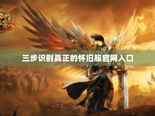 三步识别真正的怀旧服官网入口