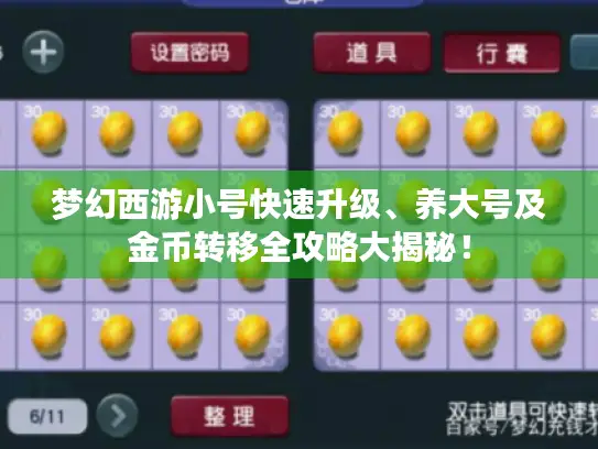 梦幻西游小号快速升级、养大号及金币转移全攻略大揭秘！