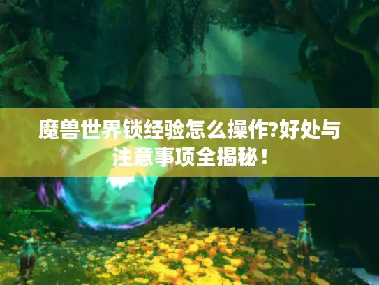 魔兽世界锁经验怎么操作?好处与注意事项全揭秘！