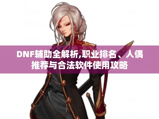 DNF辅助全解析,职业排名、人偶推荐与合法软件使用攻略