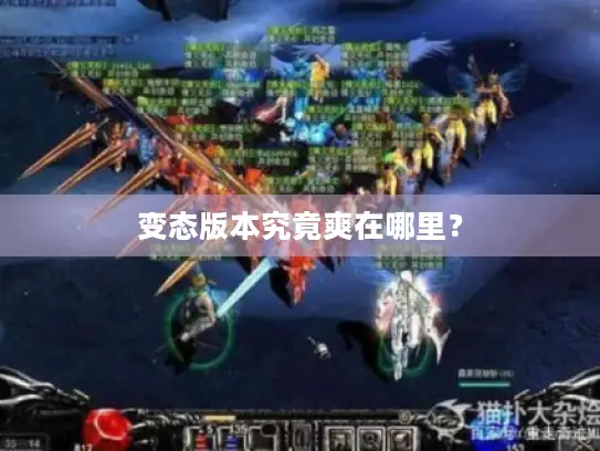 变态版本究竟爽在哪里? 变态版本究竟爽在哪里?