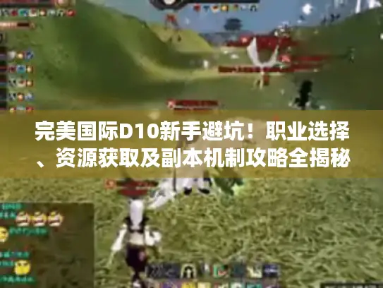 完美国际D10新手避坑！职业选择、资源获取及副本机制攻略全揭秘