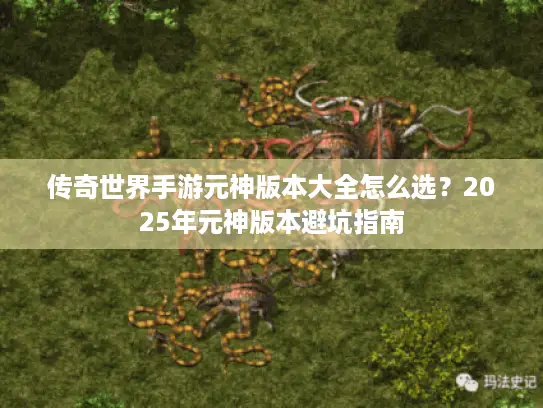 传奇世界手游元神版本大全怎么选?2025年元神版本避坑指南 传奇世界手游元神版本大全怎么选?2025年元神版本避坑指南