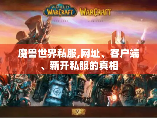 魔兽世界私服,网址、客户端、新开私服的真相