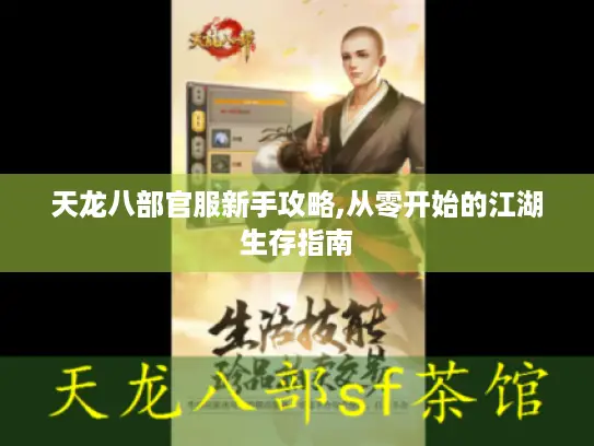 天龙八部官服新手攻略,从零开始的江湖生存指南