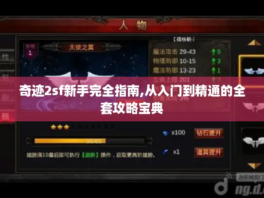 奇迹2sf新手完全指南,从入门到精通的全套攻略宝典