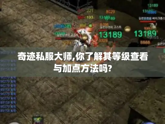奇迹私服大师,你了解其等级查看与加点方法吗?