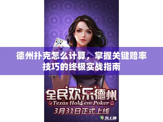 德州扑克怎么计算，掌握关键赔率技巧的终极实战指南