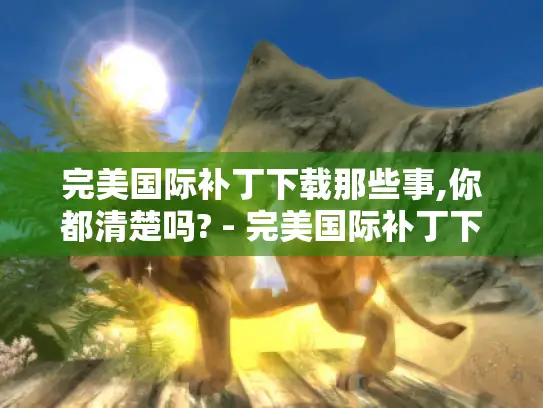 完美国际补丁下载那些事,你都清楚吗? - 完美国际补丁下载