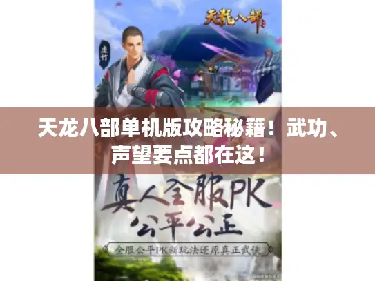 天龙八部单机版攻略秘籍！武功、声望要点都在这！