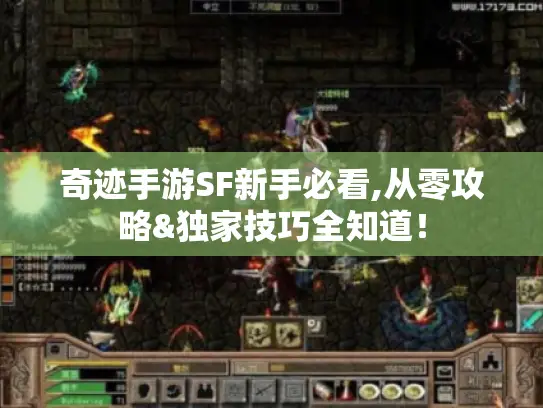 奇迹手游SF新手必看,从零攻略&独家技巧全知道! 奇迹手游SF新手必看,从零攻略&独家技巧全知道!