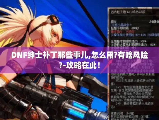 DNF绅士补丁那些事儿,怎么用?有啥风险?-攻略在此！