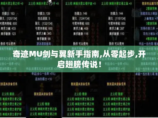 奇迹MU剑与翼新手指南,从零起步,开启翅膀传说！
