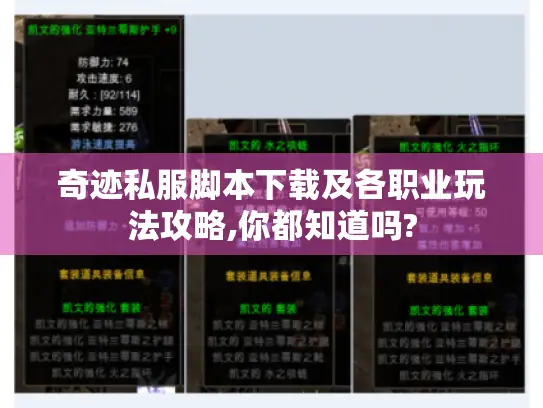 奇迹私服脚本下载及各职业玩法攻略,你都知道吗?