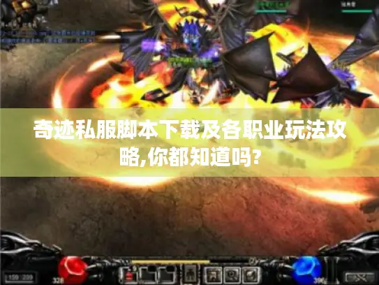 奇迹私服脚本下载及各职业玩法攻略,你都知道吗?