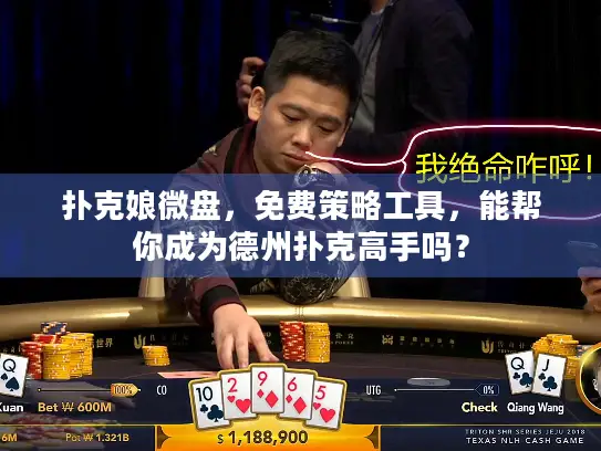 扑克娘微盘，免费策略工具，能帮你成为德州扑克高手吗？