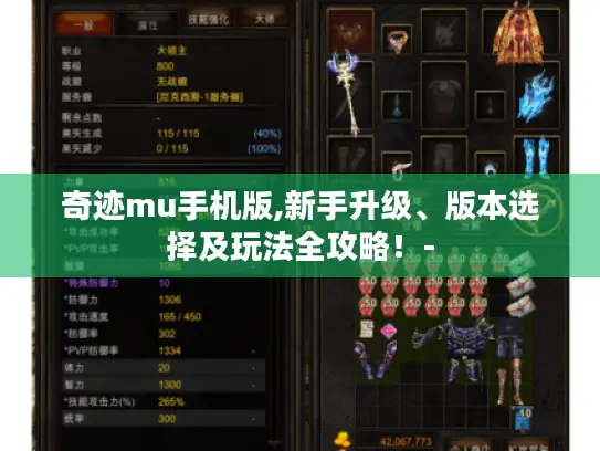 奇迹mu手机版,新手升级、版本选择及玩法全攻略！-