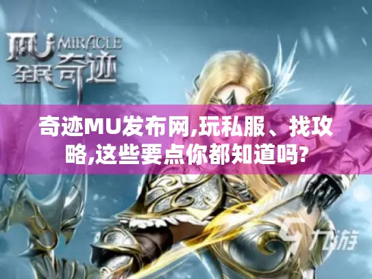 奇迹MU发布网,玩私服、找攻略,这些要点你都知道吗?