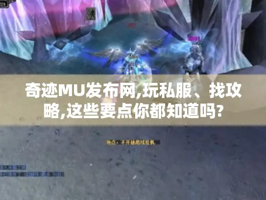 奇迹MU发布网,玩私服、找攻略,这些要点你都知道吗?