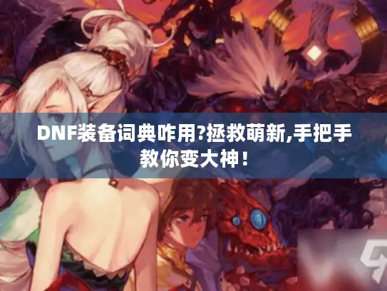 DNF装备词典咋用?拯救萌新,手把手教你变大神！