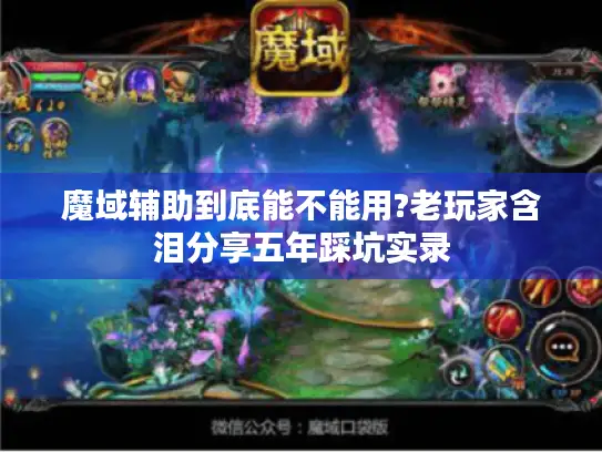 魔域辅助到底能不能用?老玩家含泪分享五年踩坑实录