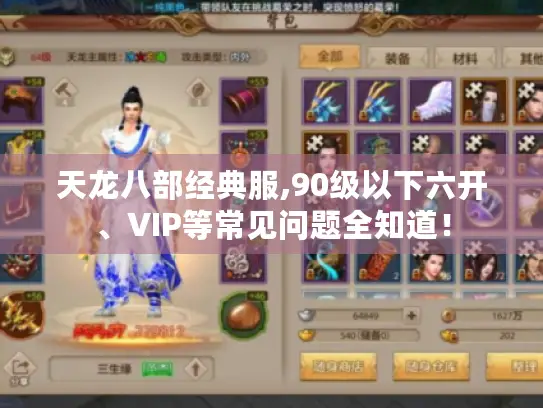 天龙八部经典服,90级以下六开、VIP等常见问题全知道！
