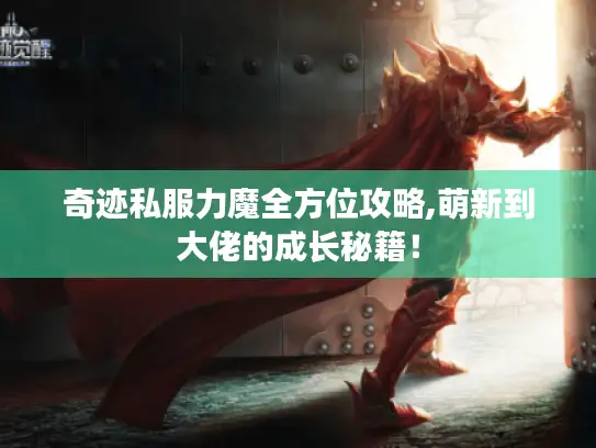 奇迹私服力魔全方位攻略,萌新到大佬的成长秘籍! 奇迹私服力魔全方位攻略,萌新到大佬的成长秘籍!