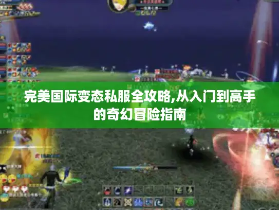 完美国际变态私服全攻略,从入门到高手的奇幻冒险指南