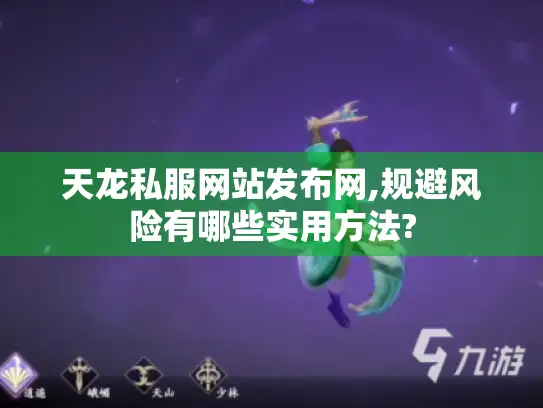 天龙私服网站发布网,规避风险有哪些实用方法?