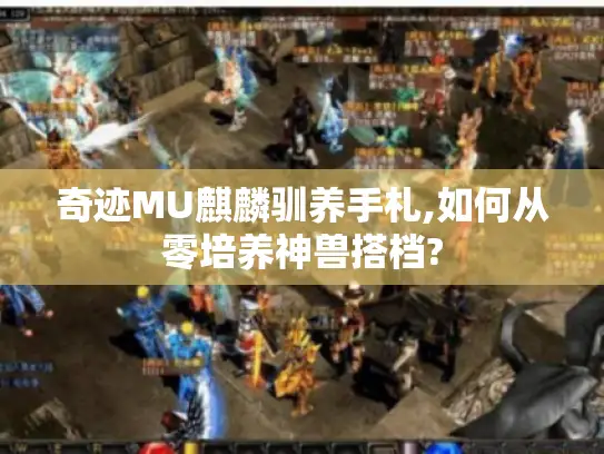 奇迹MU麒麟驯养手札,如何从零培养神兽搭档?