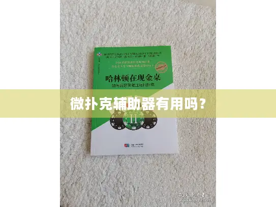 微扑克辅助器有用吗? 微扑克辅助器有用吗?