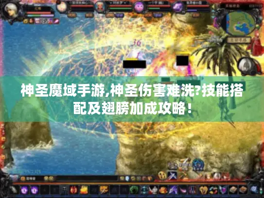 神圣魔域手游,神圣伤害难洗?技能搭配及翅膀加成攻略！