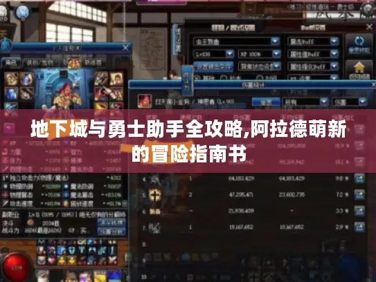 地下城与勇士助手全攻略,阿拉德萌新的冒险指南书 地下城与勇士助手全攻略,阿拉德萌新的冒险指南书
