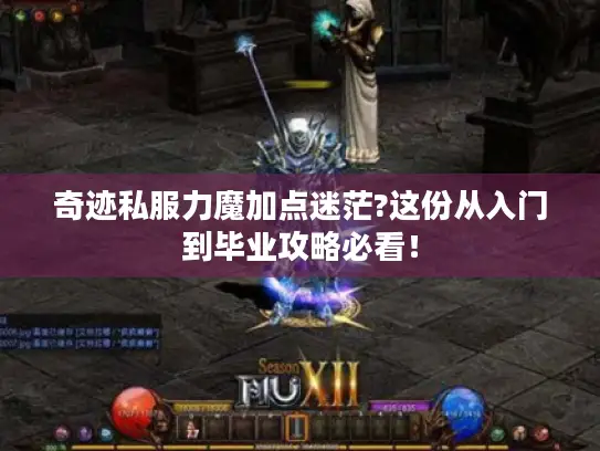 奇迹私服力魔加点迷茫?这份从入门到毕业攻略必看! 奇迹私服力魔加点迷茫?这份从入门到毕业攻略必看!