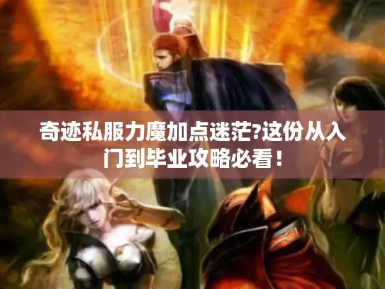 奇迹私服力魔加点迷茫?这份从入门到毕业攻略必看! 奇迹私服力魔加点迷茫?这份从入门到毕业攻略必看!