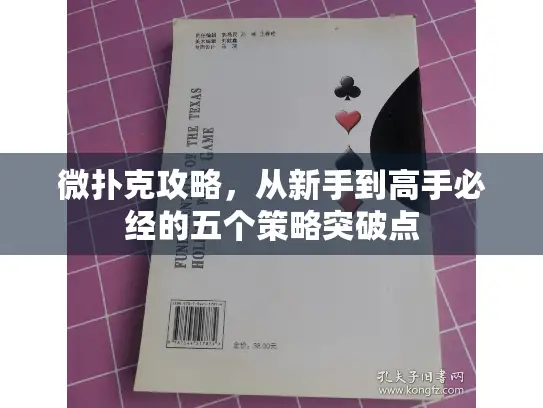 微扑克攻略，从新手到高手必经的五个策略突破点