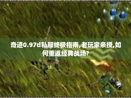 奇迹0.97d私服终极指南,老玩家亲授,如何重返经典战场?