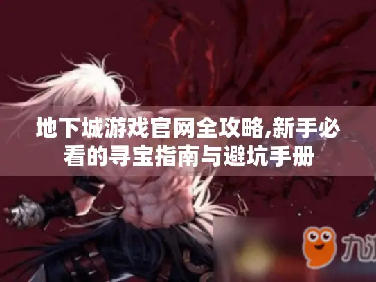地下城游戏官网全攻略,新手必看的寻宝指南与避坑手册