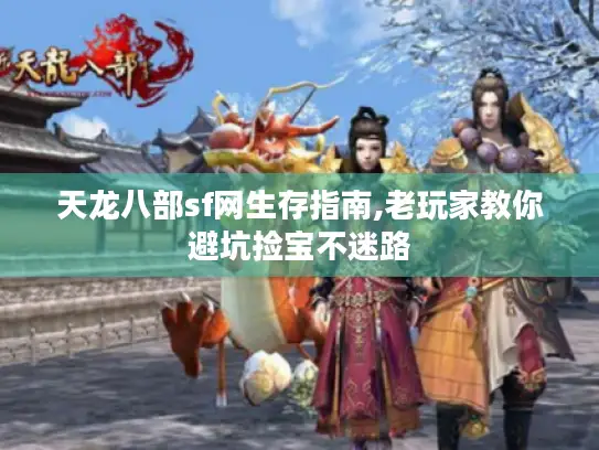 天龙八部sf网生存指南,老玩家教你避坑捡宝不迷路