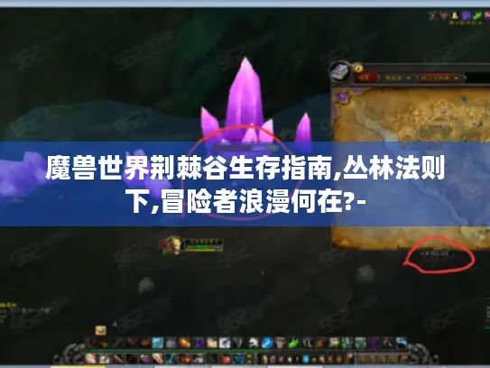 魔兽世界荆棘谷生存指南,丛林法则下,冒险者浪漫何在?-